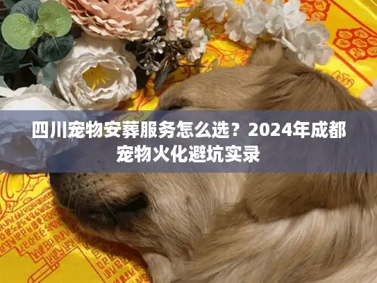 四川宠物安葬服务怎么选？2024年成都宠物火化避坑实录