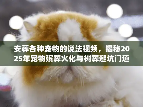 安葬各种宠物的说法视频，揭秘2025年宠物殡葬火化与树葬避坑门道