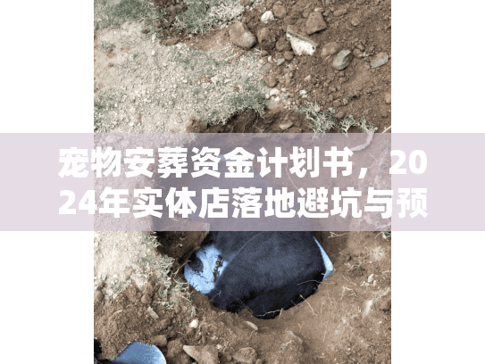 宠物安葬资金计划书，2024年实体店落地避坑与预算实战