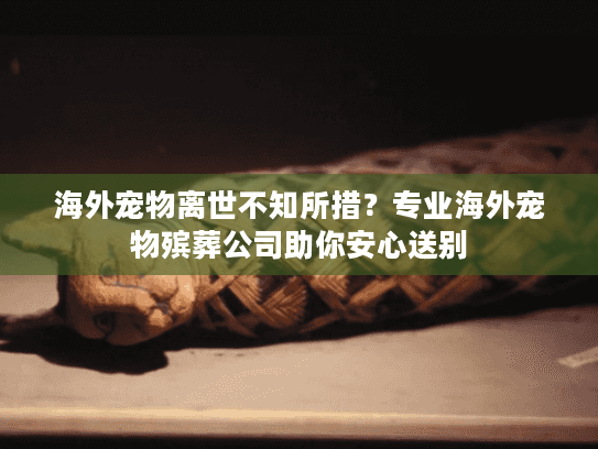 海外宠物离世不知所措？专业海外宠物殡葬公司助你安心送别