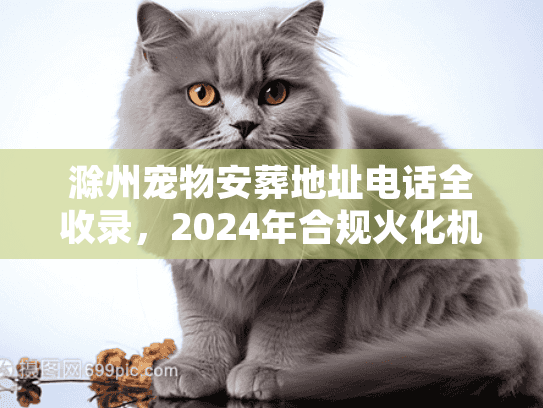 滁州宠物安葬地址电话全收录，2024年合规火化机构24小时接宠