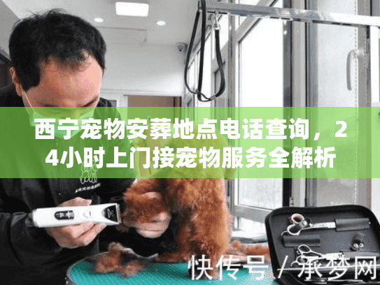 西宁宠物安葬地点电话查询，24小时上门接宠物服务全解析
