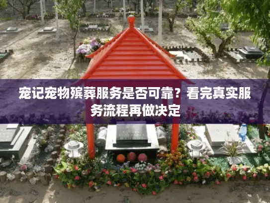 宠记宠物殡葬服务是否可靠？看完真实服务流程再做决定