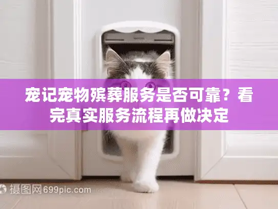 宠记宠物殡葬服务是否可靠？看完真实服务流程再做决定