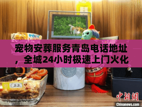 宠物安葬服务青岛电话地址，全城24小时极速上门火化与告别流程