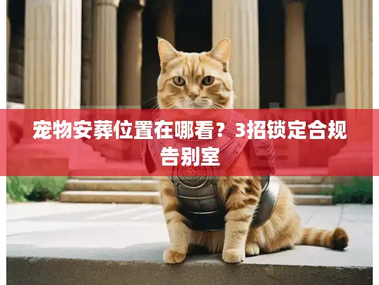 宠物安葬位置在哪看?3招锁定合规告别室 宠物安葬位置在哪看?3招锁定合规告别室