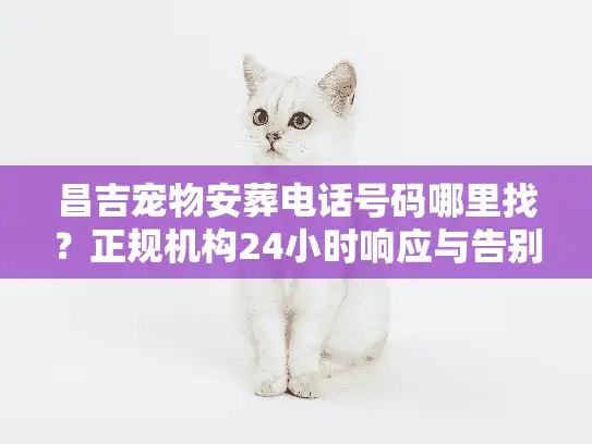 昌吉宠物安葬电话号码哪里找？正规机构24小时响应与告别仪式全解析