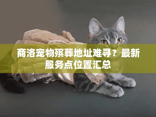 商洛宠物殡葬地址难寻？最新服务点位置汇总