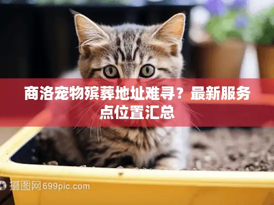 商洛宠物殡葬地址难寻？最新服务点位置汇总