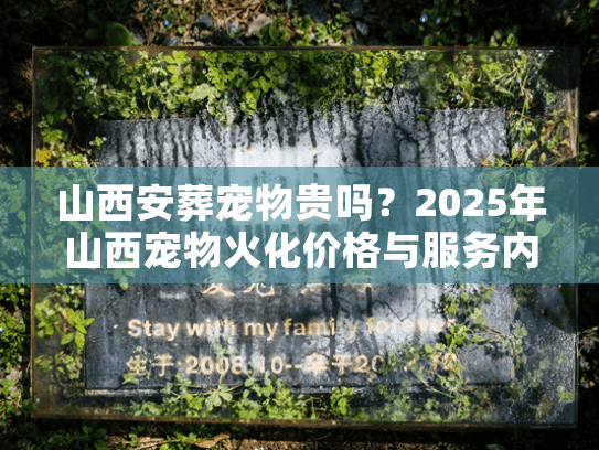 山西安葬宠物贵吗？2025年山西宠物火化价格与服务内幕
