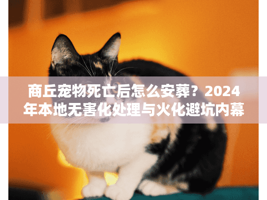 商丘宠物死亡后怎么安葬？2024年本地无害化处理与火化避坑内幕