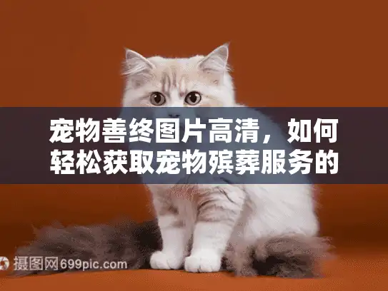 宠物善终图片高清,如何轻松获取宠物殡葬服务的高清纪念? 宠物善终图片高清,如何轻松获取宠物殡葬服务的高清纪念?