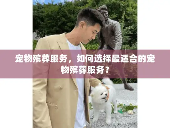 宠物殡葬服务，如何选择最适合的宠物殡葬服务？