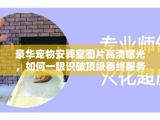 豪华宠物安葬室图片高清曝光，如何一眼识破顶级善终服务真伪？