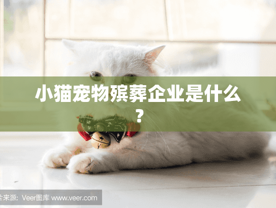 小猫宠物殡葬企业是什么? 小猫宠物殡葬企业是什么?