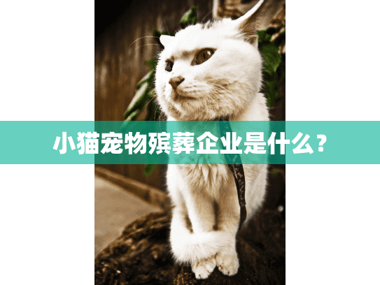 小猫宠物殡葬企业是什么? 小猫宠物殡葬企业是什么?