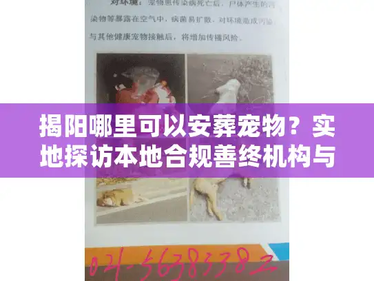 揭阳哪里可以安葬宠物？实地探访本地合规善终机构与避坑