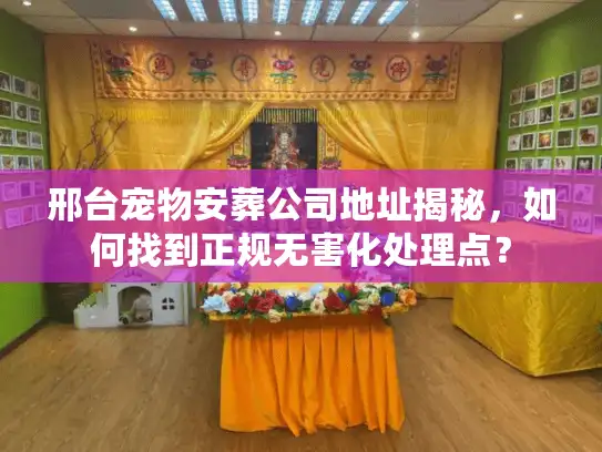 邢台宠物安葬公司地址揭秘，如何找到正规无害化处理点？