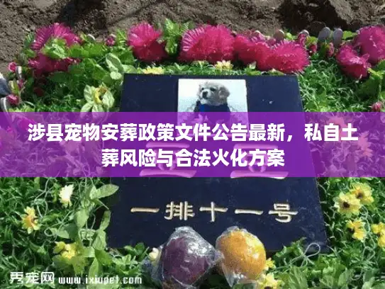 涉县宠物安葬政策文件公告最新，私自土葬风险与合法火化方案