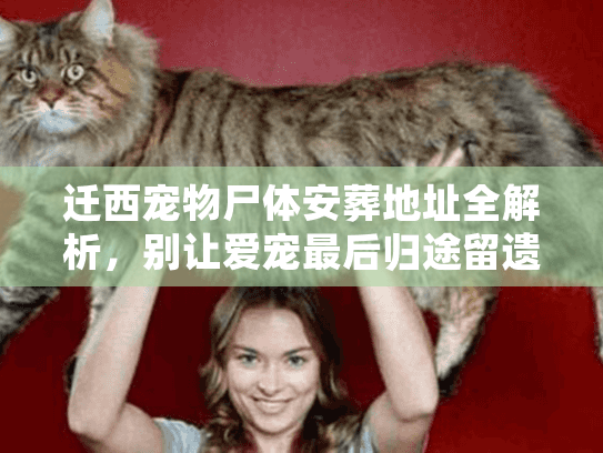 迁西宠物尸体安葬地址全解析，别让爱宠最后归途留遗憾