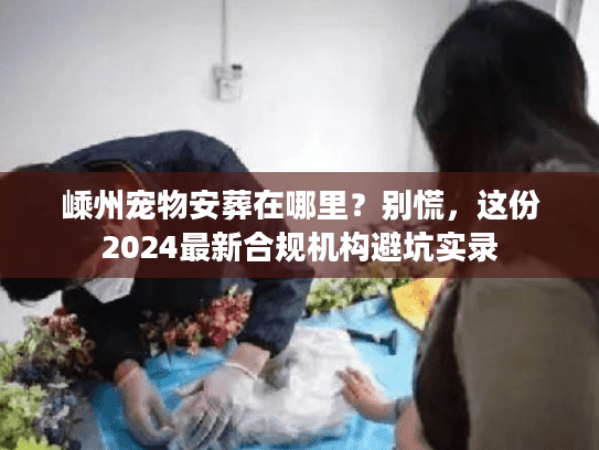 嵊州宠物安葬在哪里？别慌，这份2024最新合规机构避坑实录