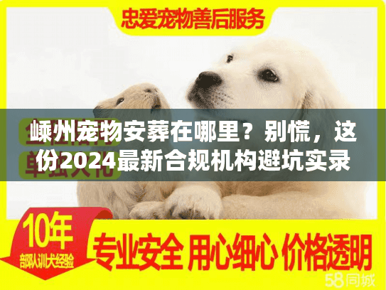 嵊州宠物安葬在哪里？别慌，这份2024最新合规机构避坑实录