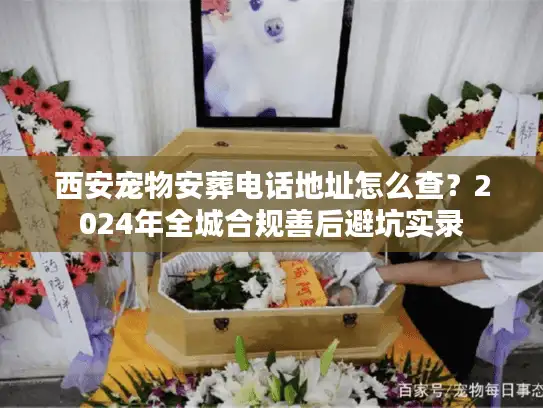 西安宠物安葬电话地址怎么查？2024年全城合规善后避坑实录