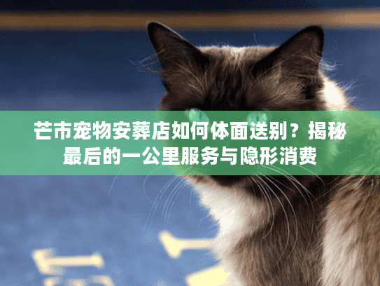 芒市宠物安葬店如何体面送别？揭秘最后的一公里服务与隐形消费