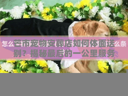 芒市宠物安葬店如何体面送别？揭秘最后的一公里服务与隐形消费