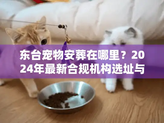 东台宠物安葬在哪里？2024年最新合规机构选址与避坑实录