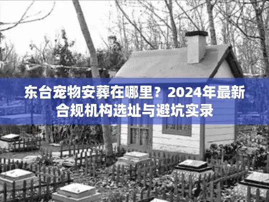 东台宠物安葬在哪里？2024年最新合规机构选址与避坑实录