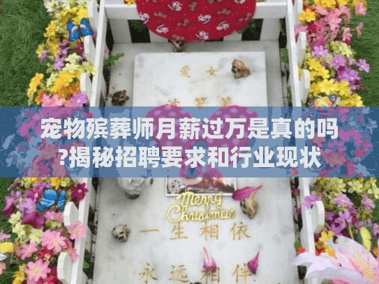 宠物殡葬师月薪过万是真的吗?揭秘招聘要求和行业现状