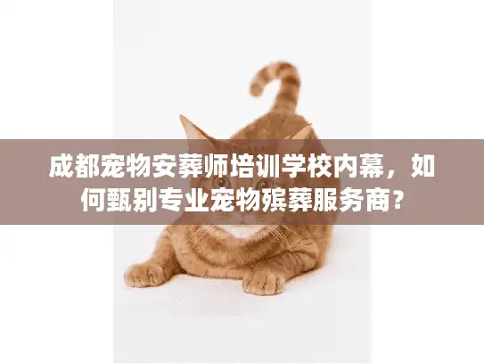 成都宠物安葬师培训学校内幕，如何甄别专业宠物殡葬服务商？