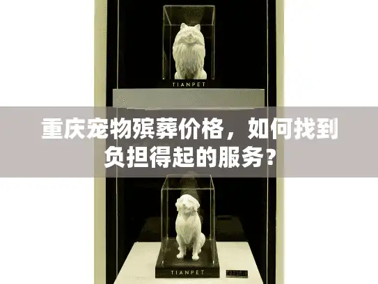 重庆宠物殡葬价格，如何找到负担得起的服务？