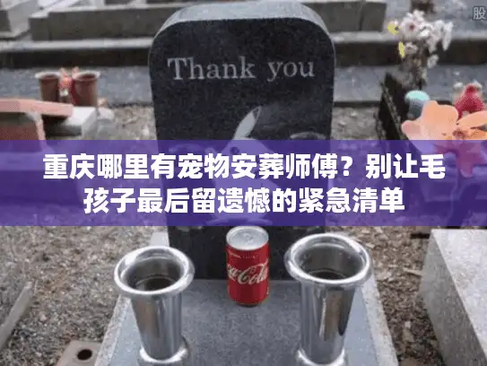 重庆哪里有宠物安葬师傅？别让毛孩子最后留遗憾的紧急清单