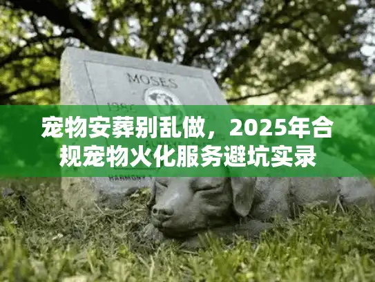 宠物安葬别乱做，2025年合规宠物火化服务避坑实录