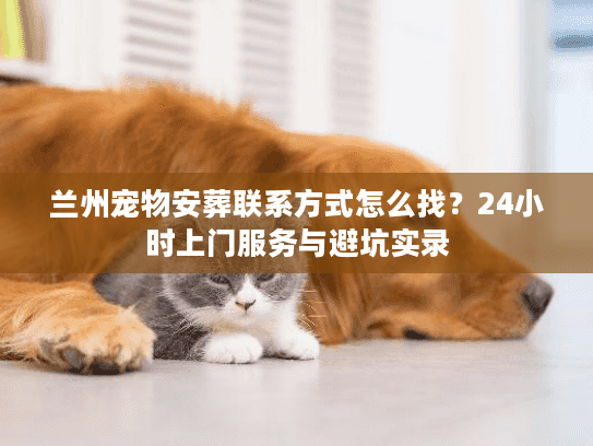 兰州宠物安葬联系方式怎么找？24小时上门服务与避坑实录