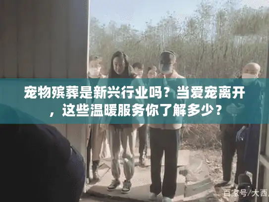 宠物殡葬是新兴行业吗？当爱宠离开，这些温暖服务你了解多少？