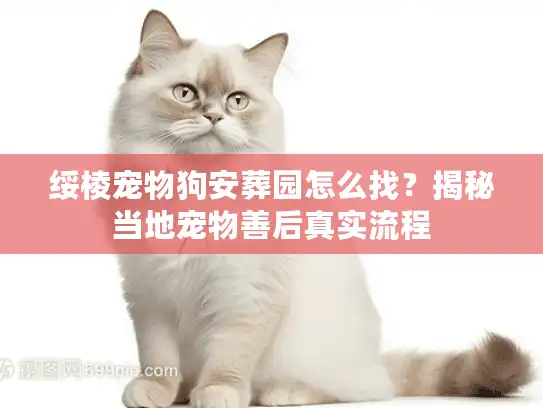 绥棱宠物狗安葬园怎么找？揭秘当地宠物善后真实流程