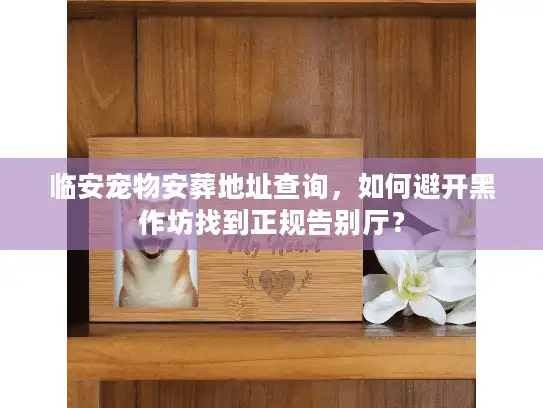临安宠物安葬地址查询，如何避开黑作坊找到正规告别厅？