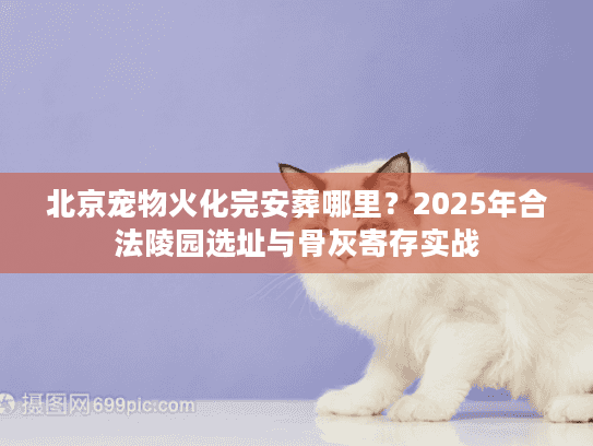 北京宠物火化完安葬哪里?2025年合法陵园选址与骨灰寄存实战 北京宠物火化完安葬哪里?2025年合法陵园选址与骨灰寄存实战