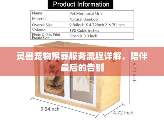 灵兽宠物殡葬服务流程详解，陪伴最后的告别
