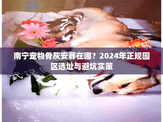 南宁宠物骨灰安葬在哪?2024年正规园区选址与避坑实策 南宁宠物骨灰安葬在哪?2024年正规园区选址与避坑实策