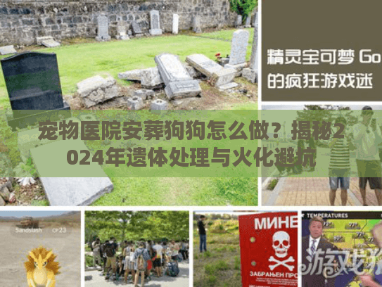 宠物医院安葬狗狗怎么做？揭秘2024年遗体处理与火化避坑