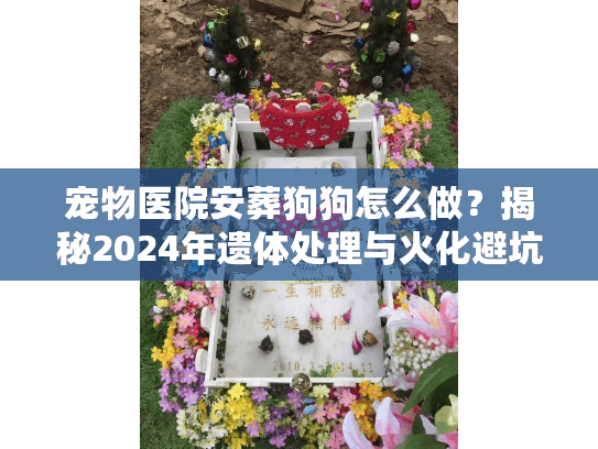 宠物医院安葬狗狗怎么做？揭秘2024年遗体处理与火化避坑