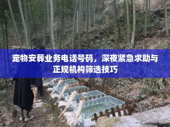 宠物安葬业务电话号码，深夜紧急求助与正规机构筛选技巧