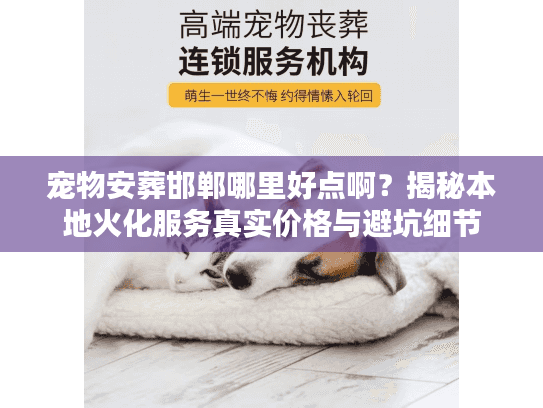 宠物安葬邯郸哪里好点啊？揭秘本地火化服务真实价格与避坑细节