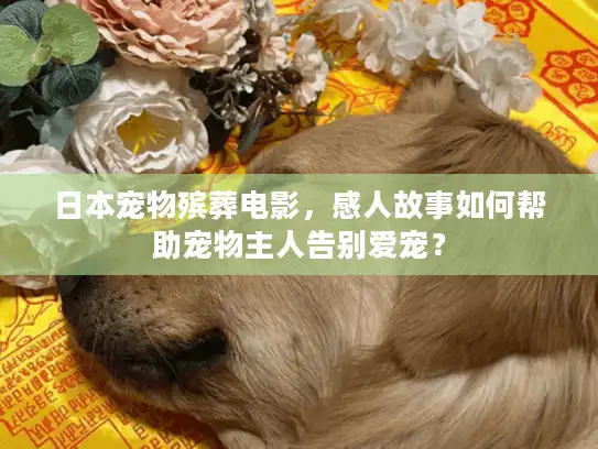 日本宠物殡葬电影,感人故事如何帮助宠物主人告别爱宠? 日本宠物殡葬电影,感人故事如何帮助宠物主人告别爱宠?