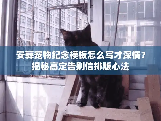 安葬宠物纪念模板怎么写才深情？揭秘高定告别信排版心法