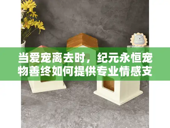 当爱宠离去时，纪元永恒宠物善终如何提供专业情感支持？